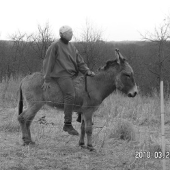 5ACF1ED1-9A28-493F-A587-642B7A6E3B21